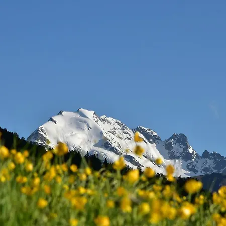 Cima Piazzi 3* Pradelle