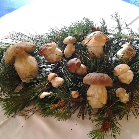 Cima Piazzi 3*