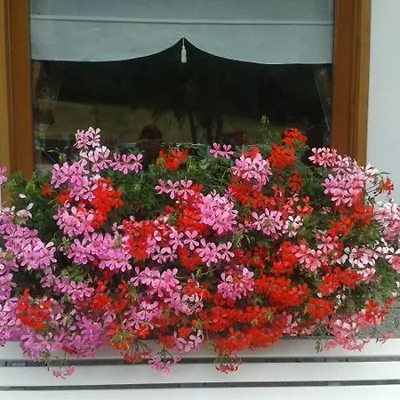 Cima Piazzi Pradelle